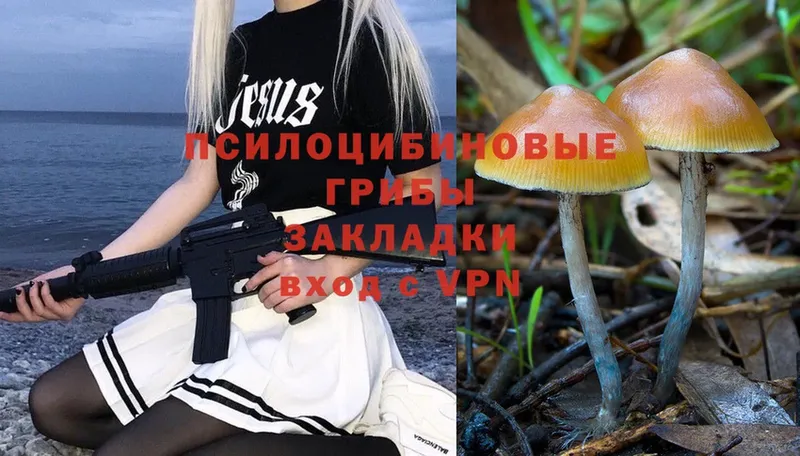 магазин продажи наркотиков  Клин  Псилоцибиновые грибы Psilocybe 